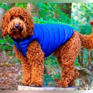 Navy reversible Dog Puffer Jacket SIZE L